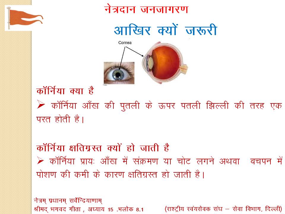 Second slide